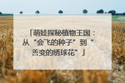 萌娃探秘植物王国：从“会飞的种子”到“善变的绣球花”