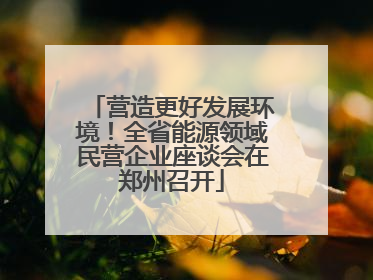 营造更好发展环境！全省能源领域民营企业座谈会在郑州召开