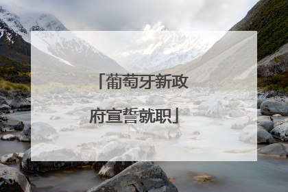 葡萄牙新政府宣誓就职