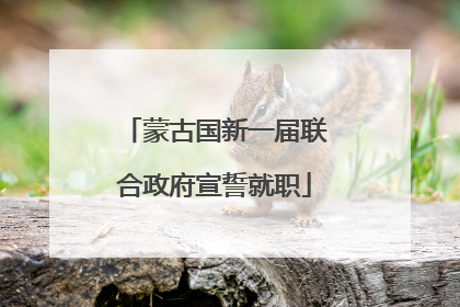 蒙古国新一届联合政府宣誓就职
