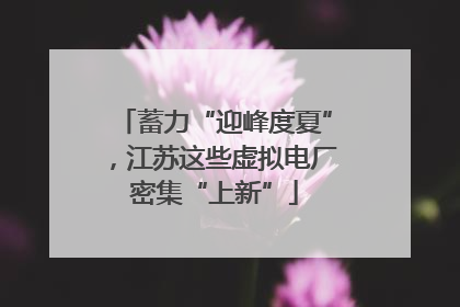 蓄力“迎峰度夏”，江苏这些虚拟电厂密集“上新”