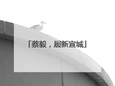 蔡毅，履新宣城