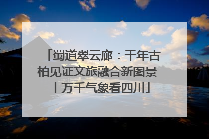 蜀道翠云廊：千年古柏见证文旅融合新图景丨万千气象看四川