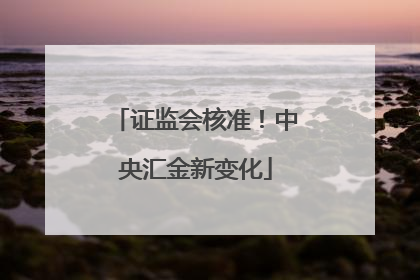 证监会核准！中央汇金新变化