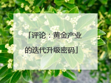 评论：黄金产业的迭代升级密码