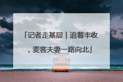 记者走基层｜追着丰收，麦客夫妻一路向北