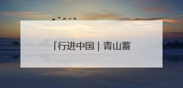 行进中国｜青山蓄动能 黑土生金仓