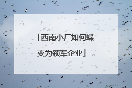 西南小厂如何蝶变为领军企业