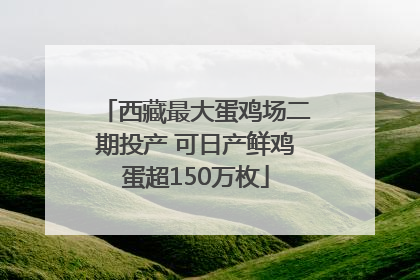 西藏最大蛋鸡场二期投产 可日产鲜鸡蛋超150万枚