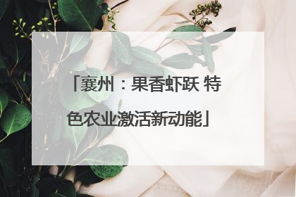 襄州：果香虾跃 特色农业激活新动能
