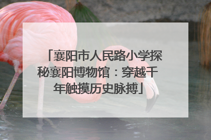 襄阳市人民路小学探秘襄阳博物馆：穿越千年触摸历史脉搏