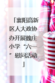 襄阳高新区人大政协办开展魏庄小学“六一”慰问活动
