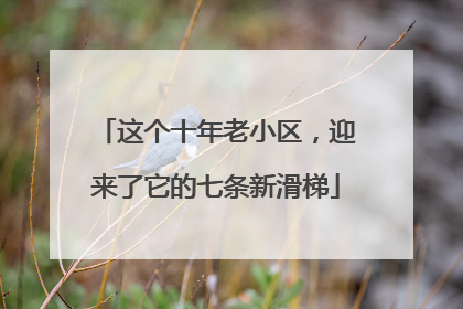这个十年老小区，迎来了它的七条新滑梯