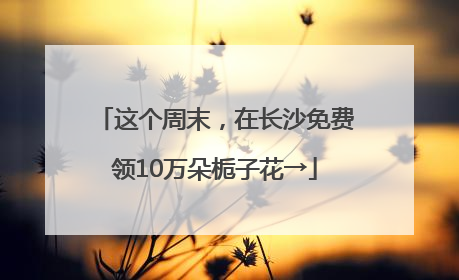这个周末，在长沙免费领10万朵栀子花→