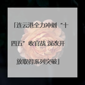 连云港全力冲刺“十四五”收官战 深改开放取得系列突破