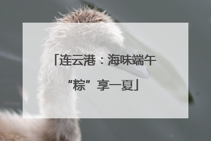 连云港：海味端午 “粽”享一夏