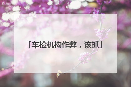 车检机构作弊，该抓