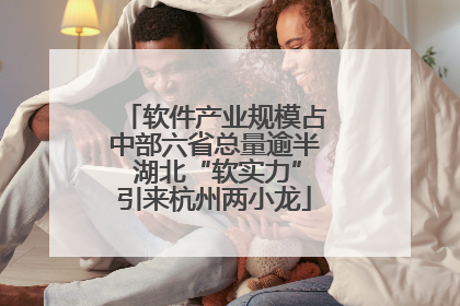 软件产业规模占中部六省总量逾半 湖北“软实力”引来杭州两小龙
