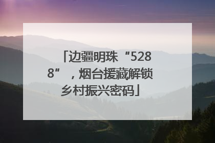 边疆明珠“5288”，烟台援藏解锁乡村振兴密码