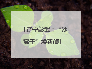 辽宁彰武：“沙窝子”焕新颜