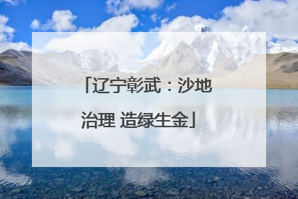 辽宁彰武：沙地治理 造绿生金