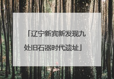 辽宁新宾新发现九处旧石器时代遗址