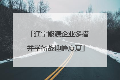 辽宁能源企业多措并举备战迎峰度夏