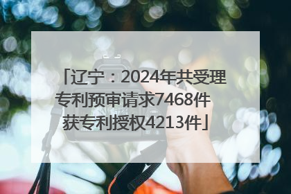 辽宁：2024年共受理专利预审请求7468件 获专利授权4213件