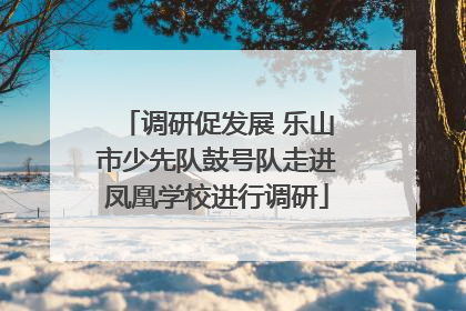 调研促发展 乐山市少先队鼓号队走进凤凰学校进行调研