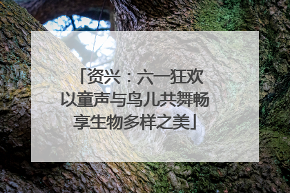 资兴：六一狂欢 以童声与鸟儿共舞畅享生物多样之美