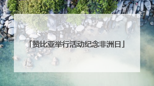 赞比亚举行活动纪念非洲日