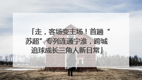 走，客场变主场！首趟“苏超”专列连通宁淮，跨城追球成长三角人新日常