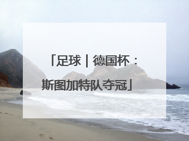 足球｜德国杯：斯图加特队夺冠