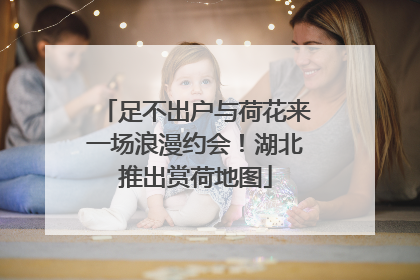 足不出户与荷花来一场浪漫约会！湖北推出赏荷地图