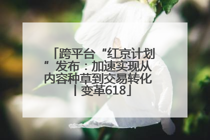 跨平台“红京计划”发布：加速实现从内容种草到交易转化丨变革618