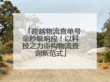 跨越物流查单号毫秒级响应！以科技之力重构物流查询新范式