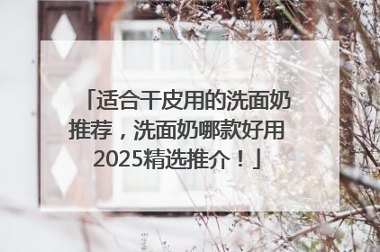 适合干皮用的洗面奶推荐，洗面奶哪款好用2025精选推介！