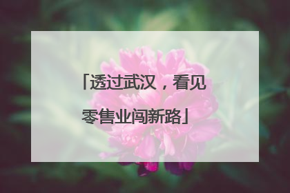 透过武汉，看见零售业闯新路