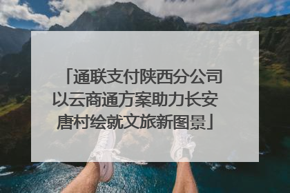 通联支付陕西分公司以云商通方案助力长安唐村绘就文旅新图景