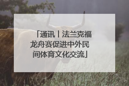 通讯丨法兰克福龙舟赛促进中外民间体育文化交流