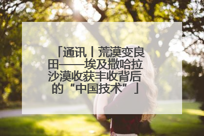 通讯丨荒漠变良田——埃及撒哈拉沙漠收获丰收背后的“中国技术”