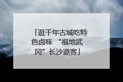 逛千年古城吃特色卤味 “福地武冈”长沙邀客