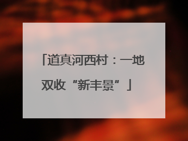 道真河西村：一地双收“新丰景”