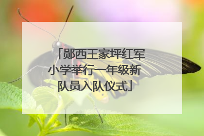 郧西王家坪红军小学举行一年级新队员入队仪式