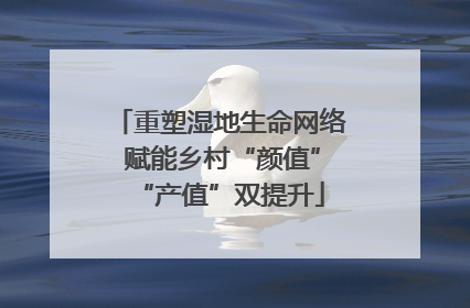 重塑湿地生命网络 赋能乡村“颜值”“产值”双提升