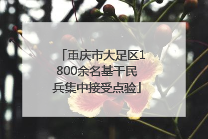重庆市大足区1800余名基干民兵集中接受点验