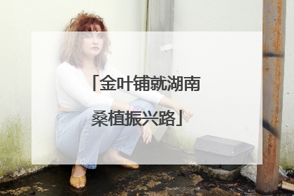 金叶铺就湖南桑植振兴路