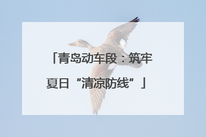 青岛动车段：筑牢夏日“清凉防线”