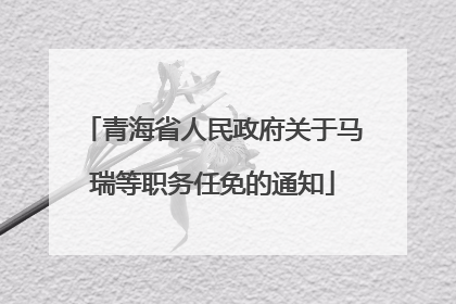 青海省人民政府关于马瑞等职务任免的通知