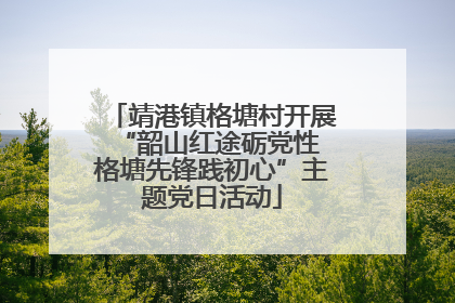 靖港镇格塘村开展“韶山红途砺党性 格塘先锋践初心”主题党日活动